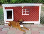 Box - Tennessee